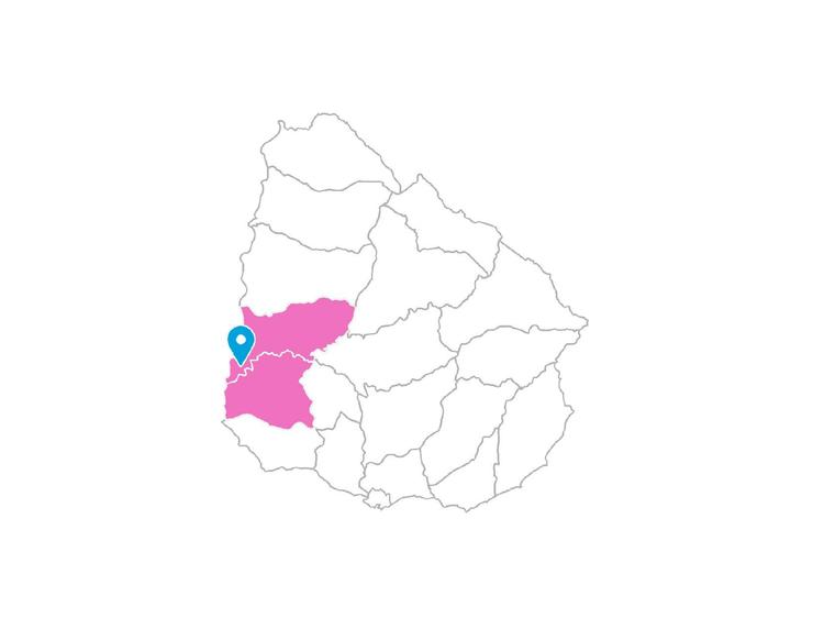 Mapa de Uruguay con los departamentos de Soriano y Río Negro destacados en color rosado.